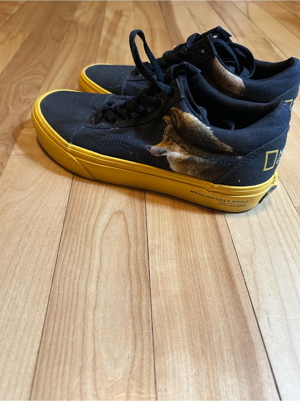 National Geographic Vans